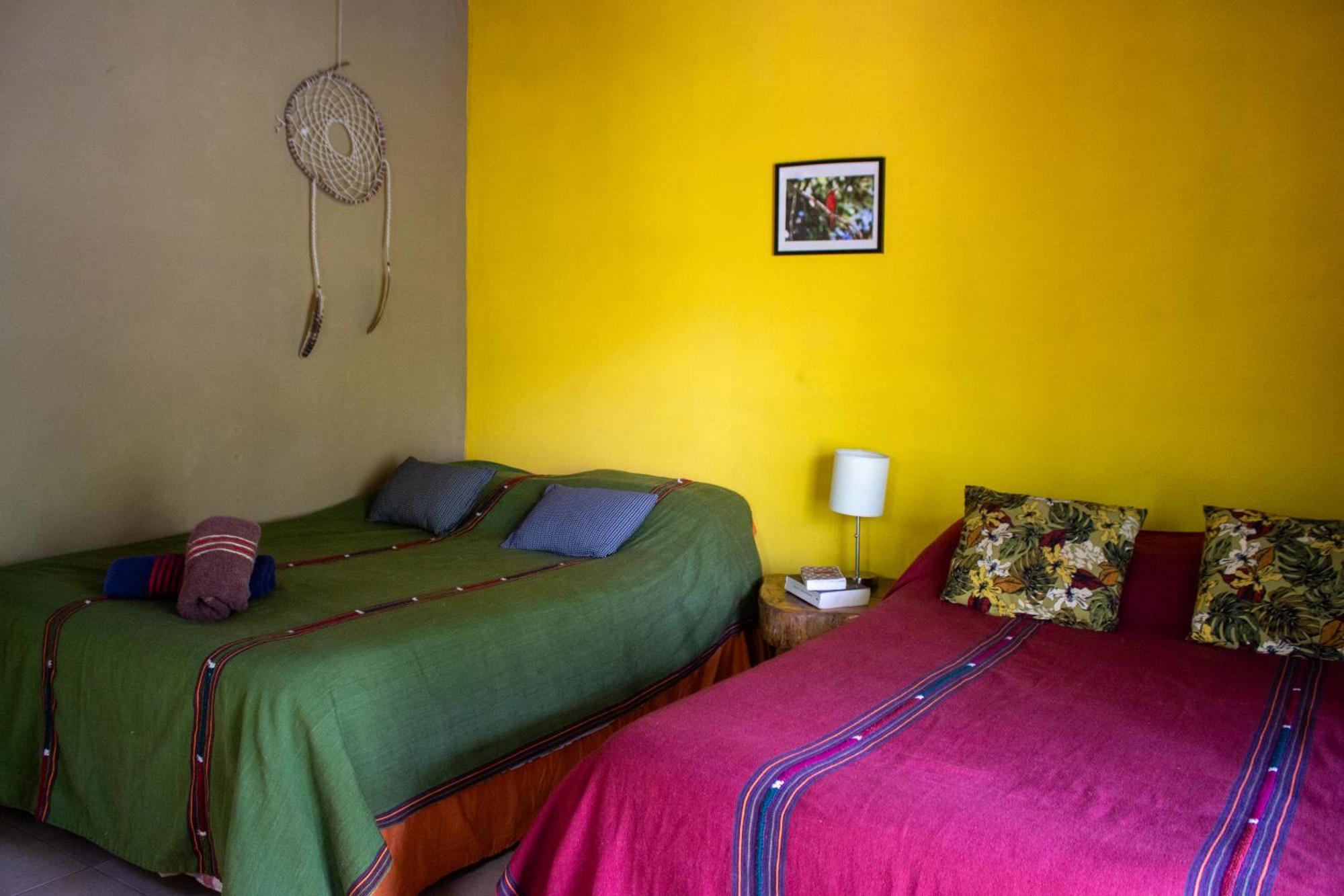 Alice Guesthouse El Remate Exterior photo